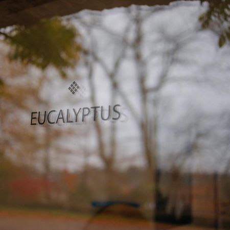 Chambres D'Hotes Eucalyptus Et Glycine Genval Esterno foto